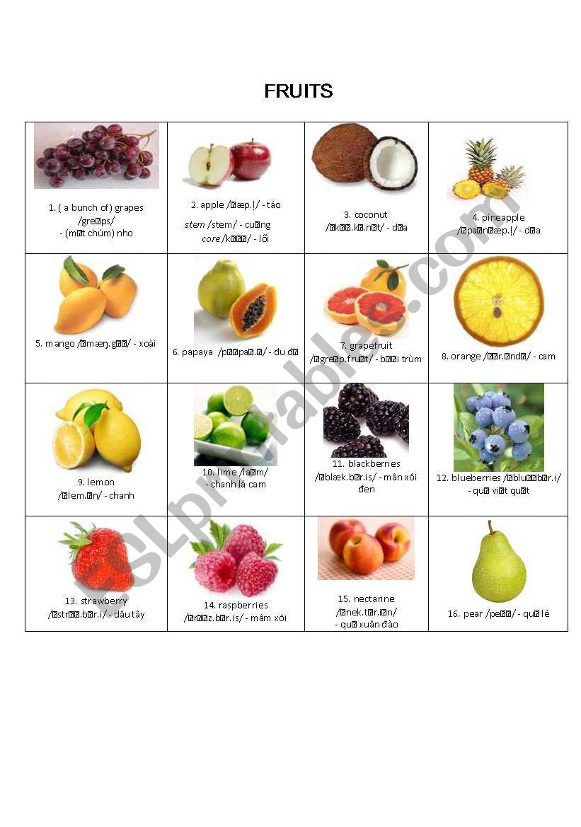 KINDS OF FRUITS worksheet