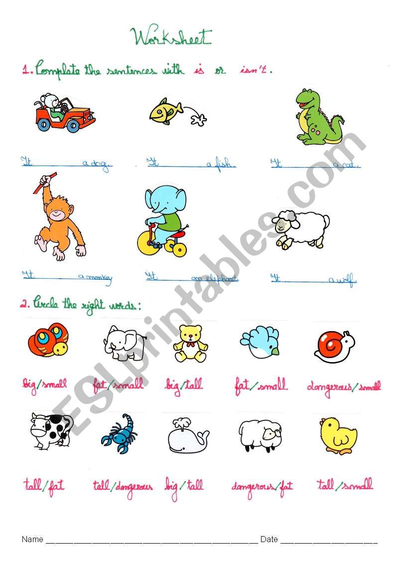 animals worksheet