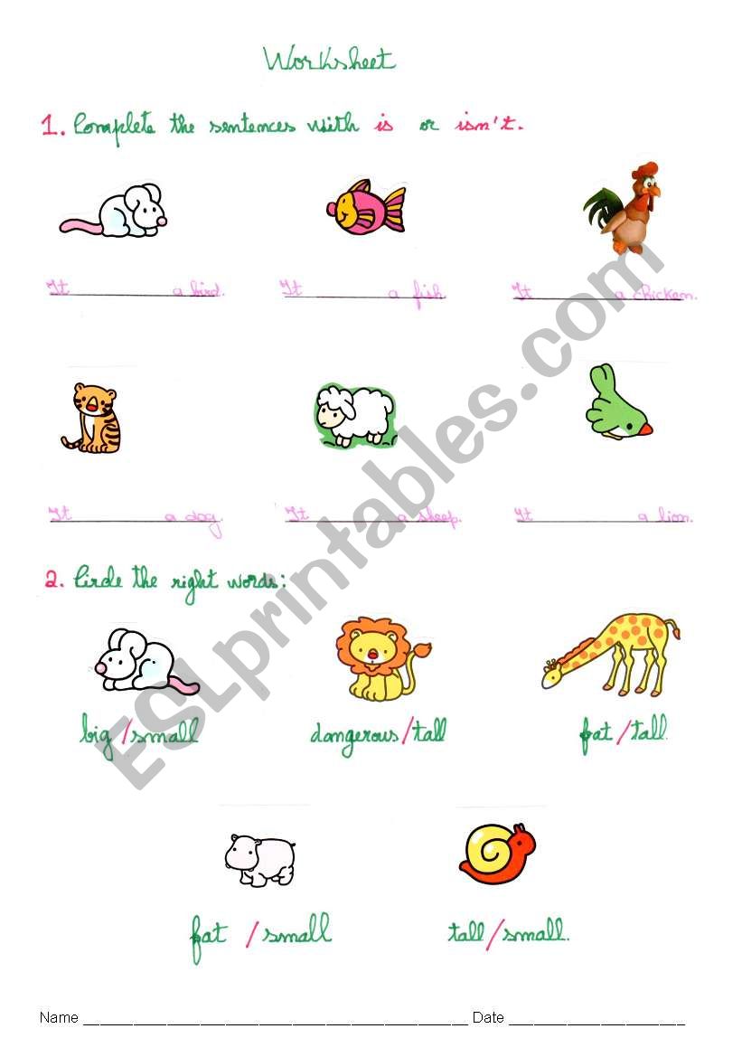 animals worksheet