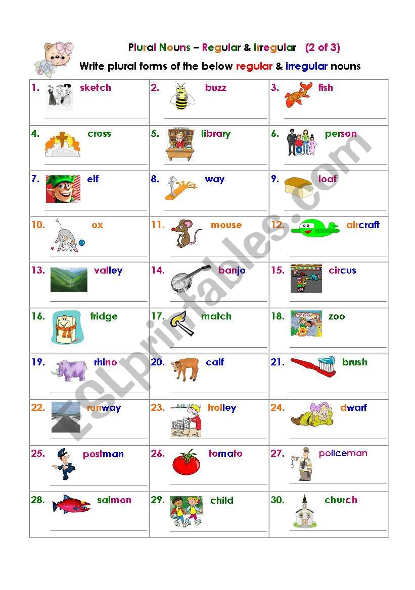 Plural Nouns  Regular & Irregular (2 of 3)