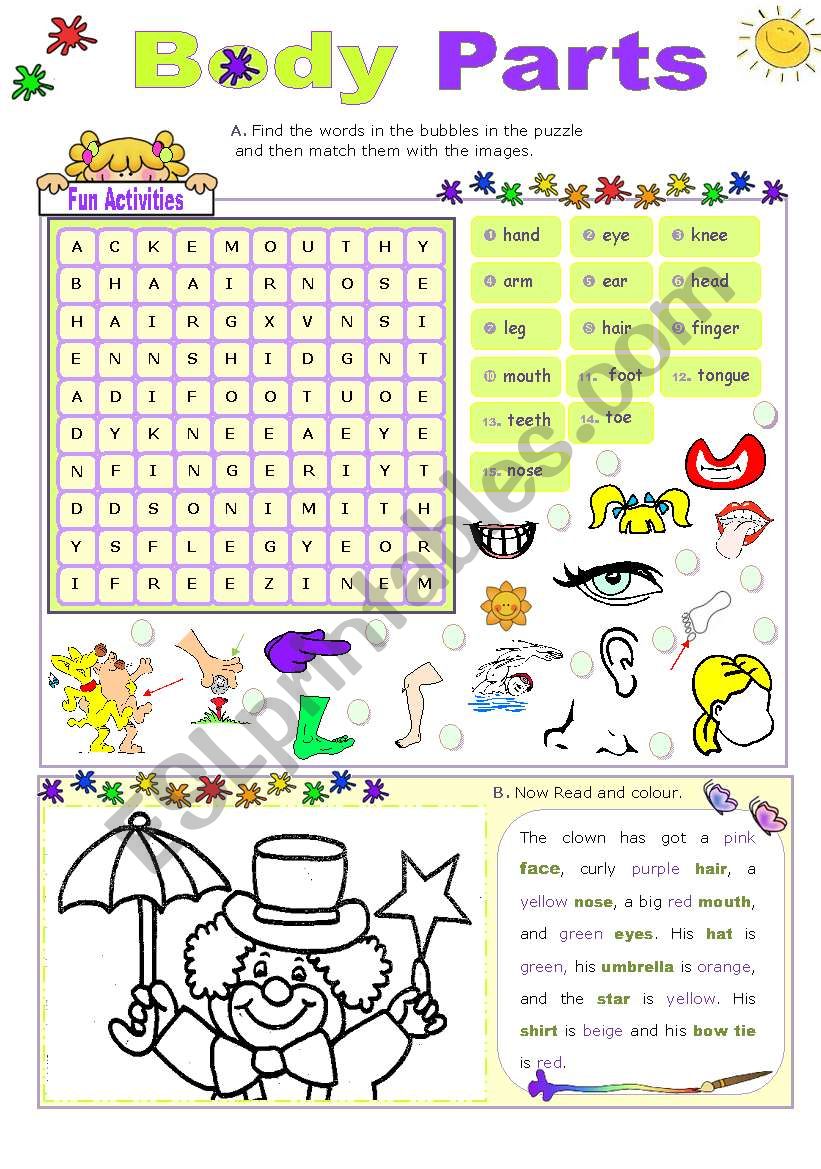 Body Parts  -  Fun Activities worksheet