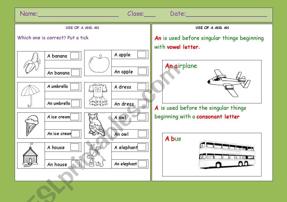 articles use of a/an worksheet