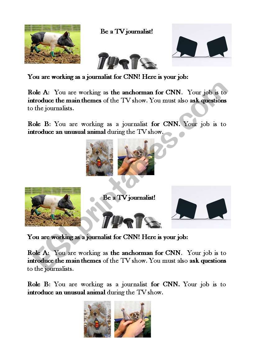 Be a TV journalist worksheet