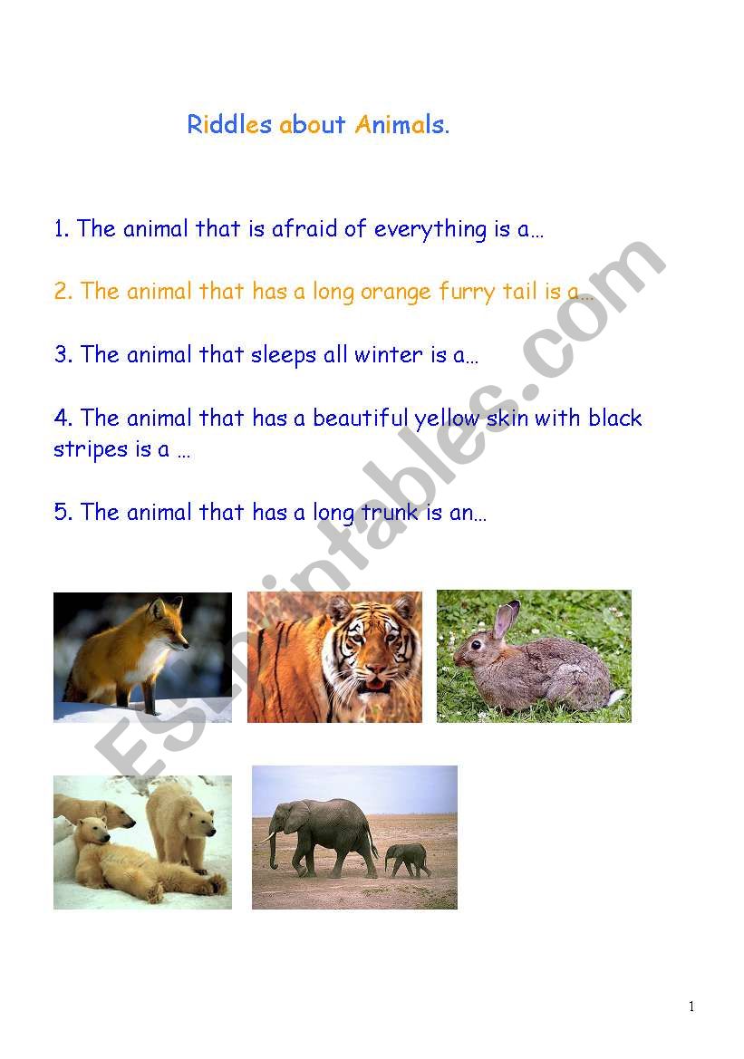 Riddles about Animals worksheet