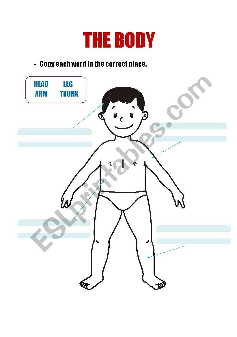 Parts of the body worksheet