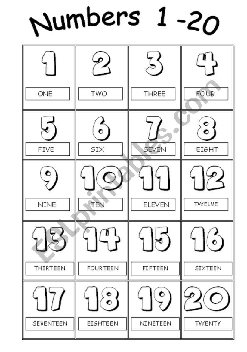 Numbers from 1 to 20 Picture Dictionary