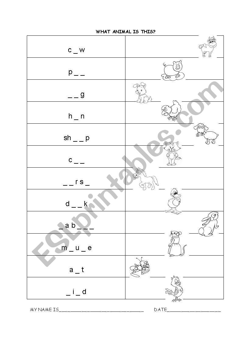 What animal is this? worksheet