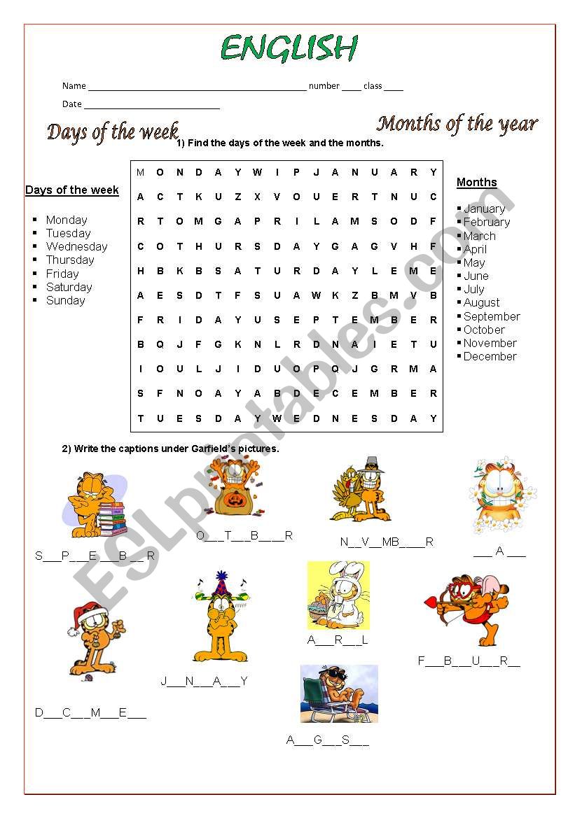 Days and Months worksheet