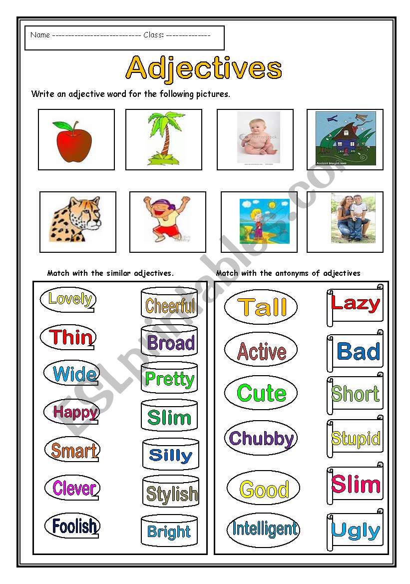 Adjectives Esl Printable Worksheets And Exercises - vrogue.co