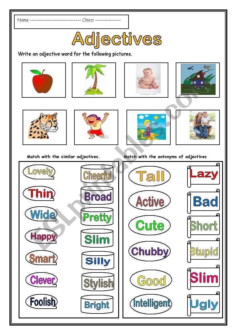 Esl Adjectives Worksheets