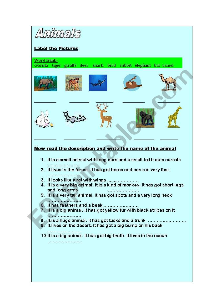 Animals Descriptions worksheet