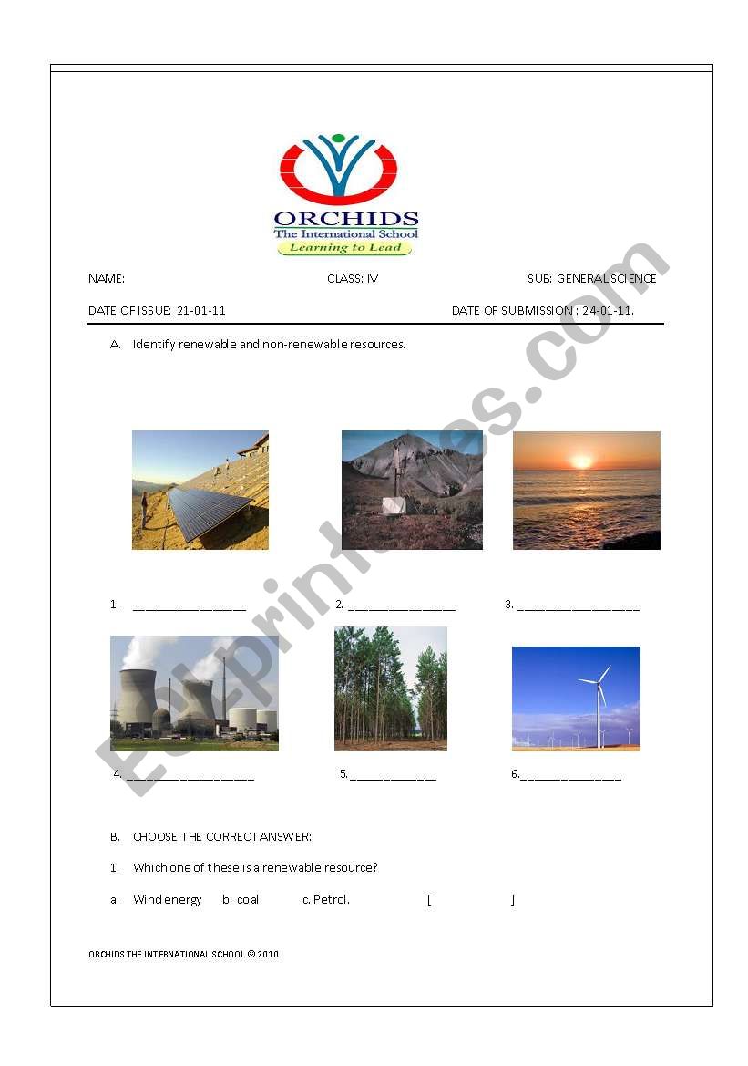 Pollution worksheet