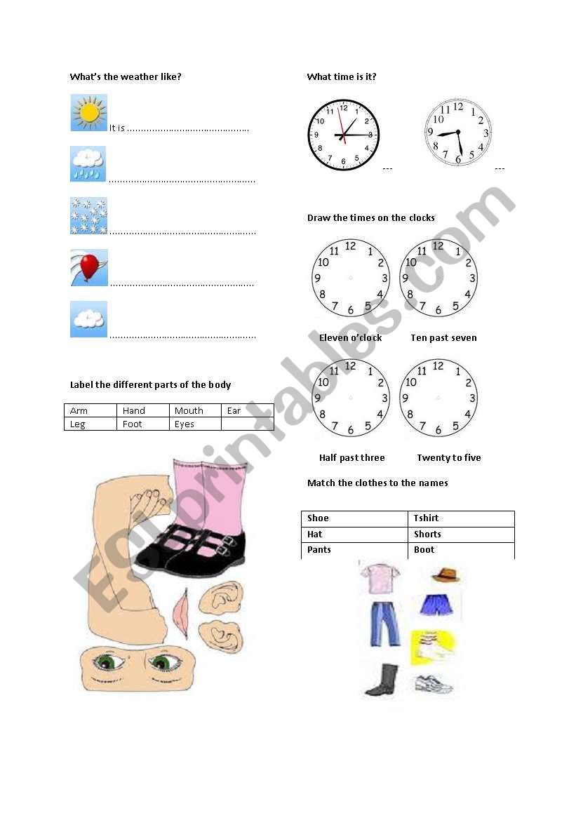 Test for elementary level worksheet