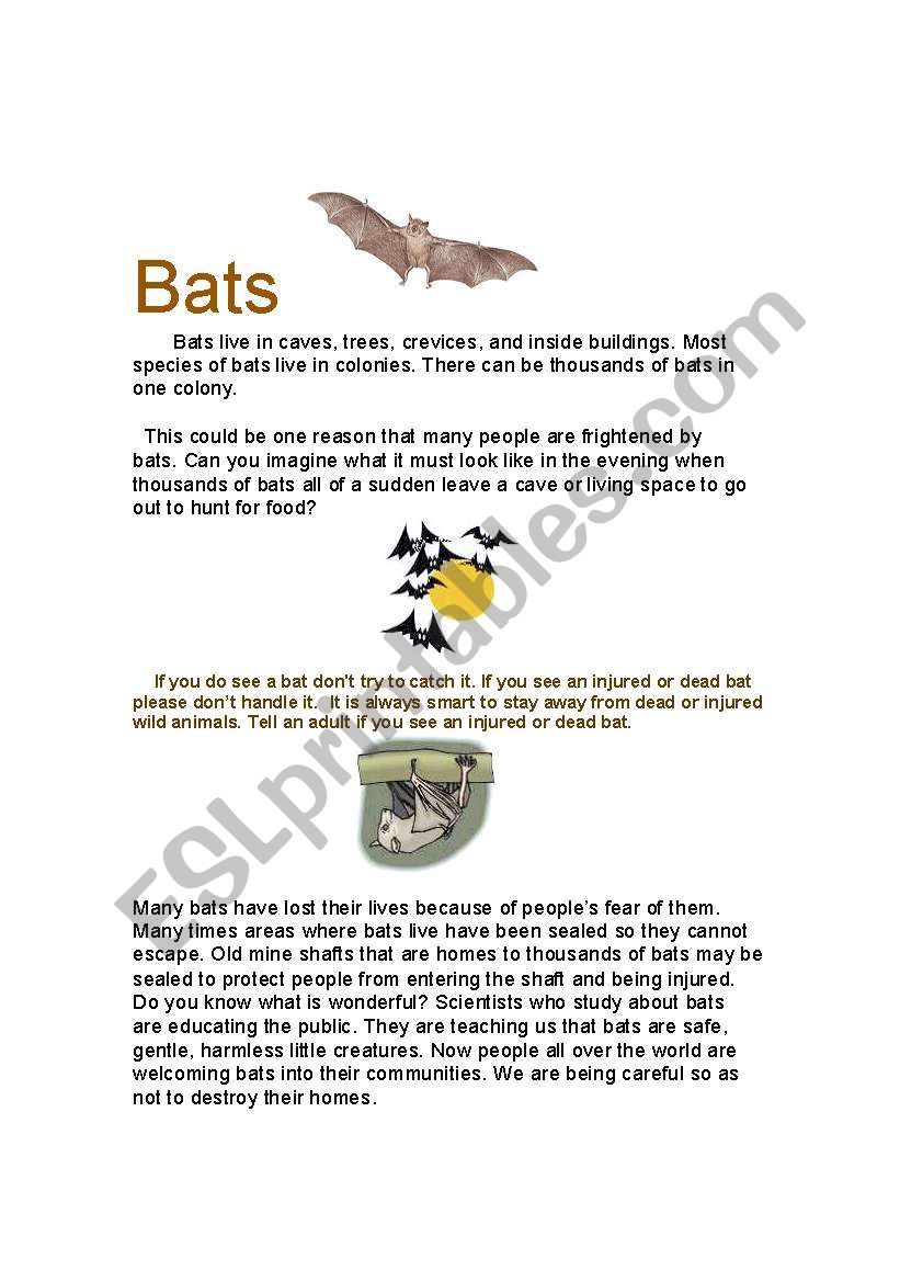 Bat Safety  worksheet