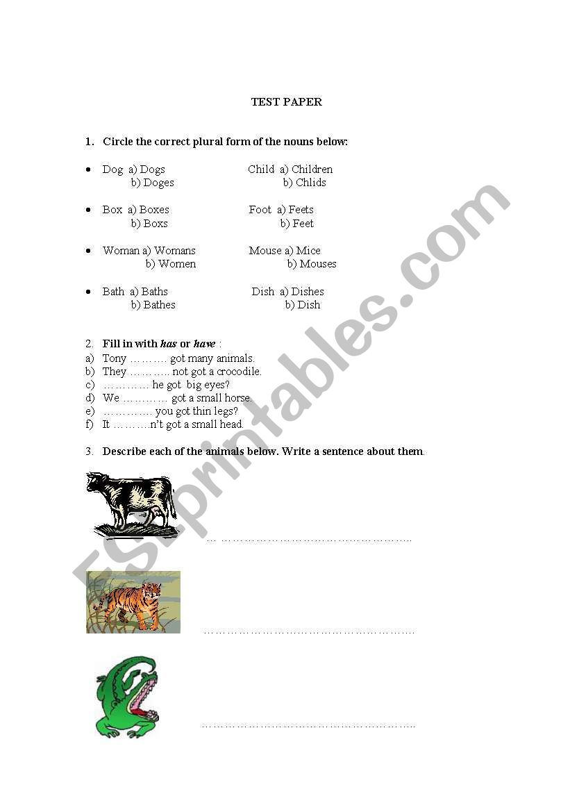 Test paper worksheet