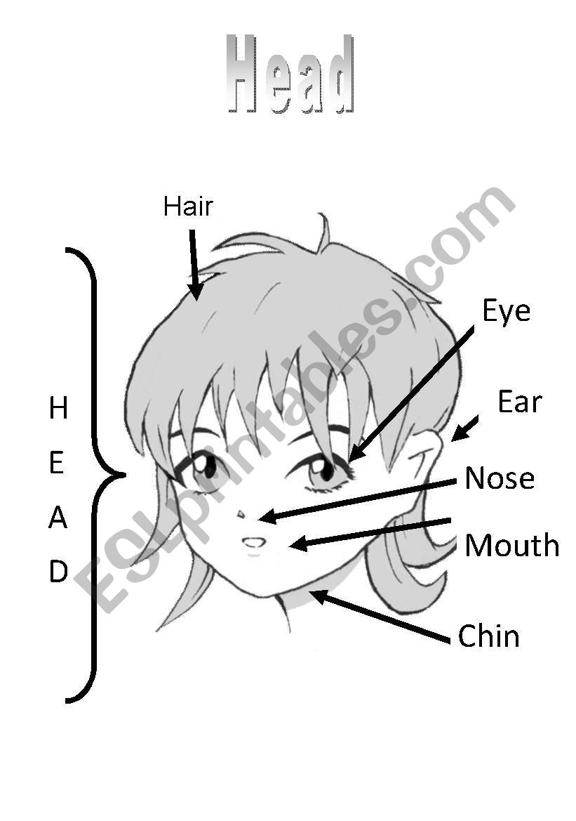 Head worksheet