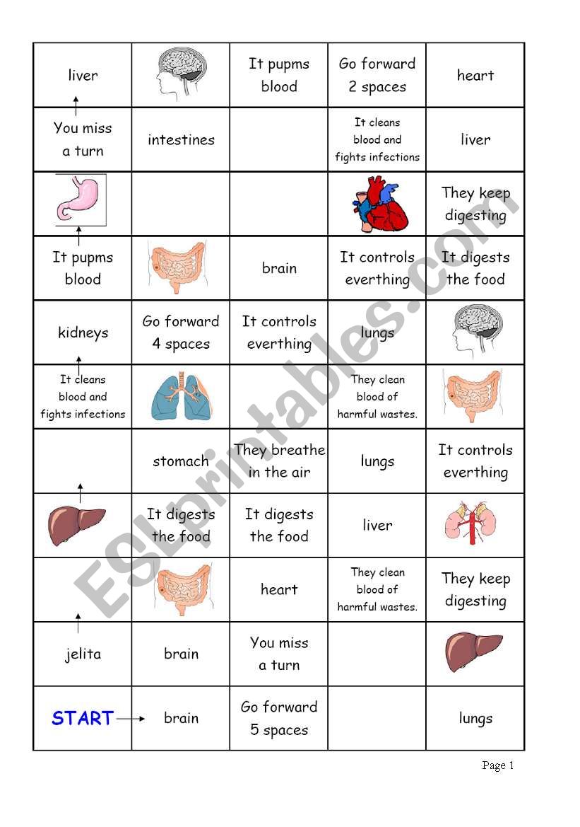 Integral Organs Game  page 1 worksheet