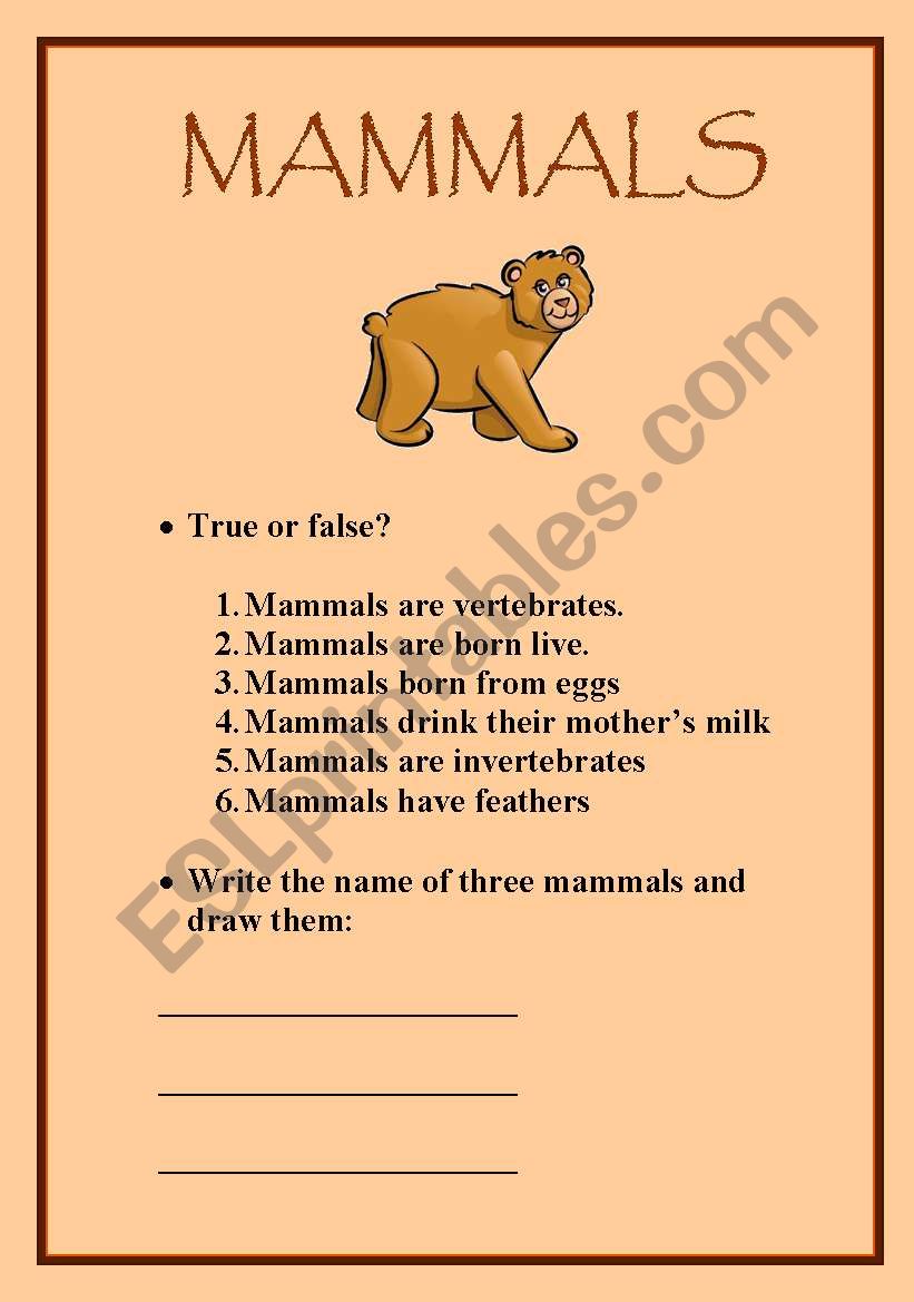 Mammals worksheet