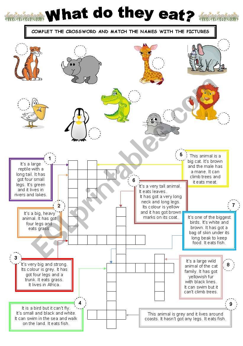 Do they like animals. What animals eat Worksheet. Animals what they eat Worksheets. What do animals eat Worksheets for Kids. What animals eat what Worksheets.