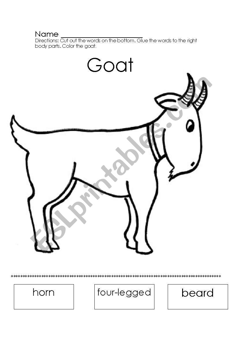 Goat worksheet