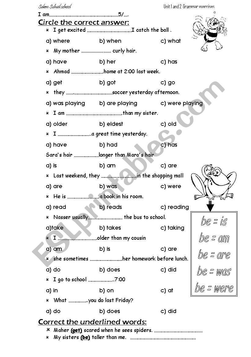 basic grammar revision  worksheet