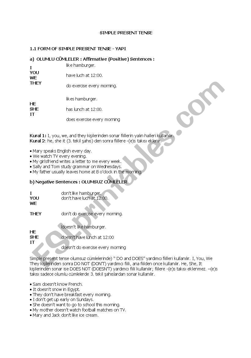 Simple Present Tense worksheet