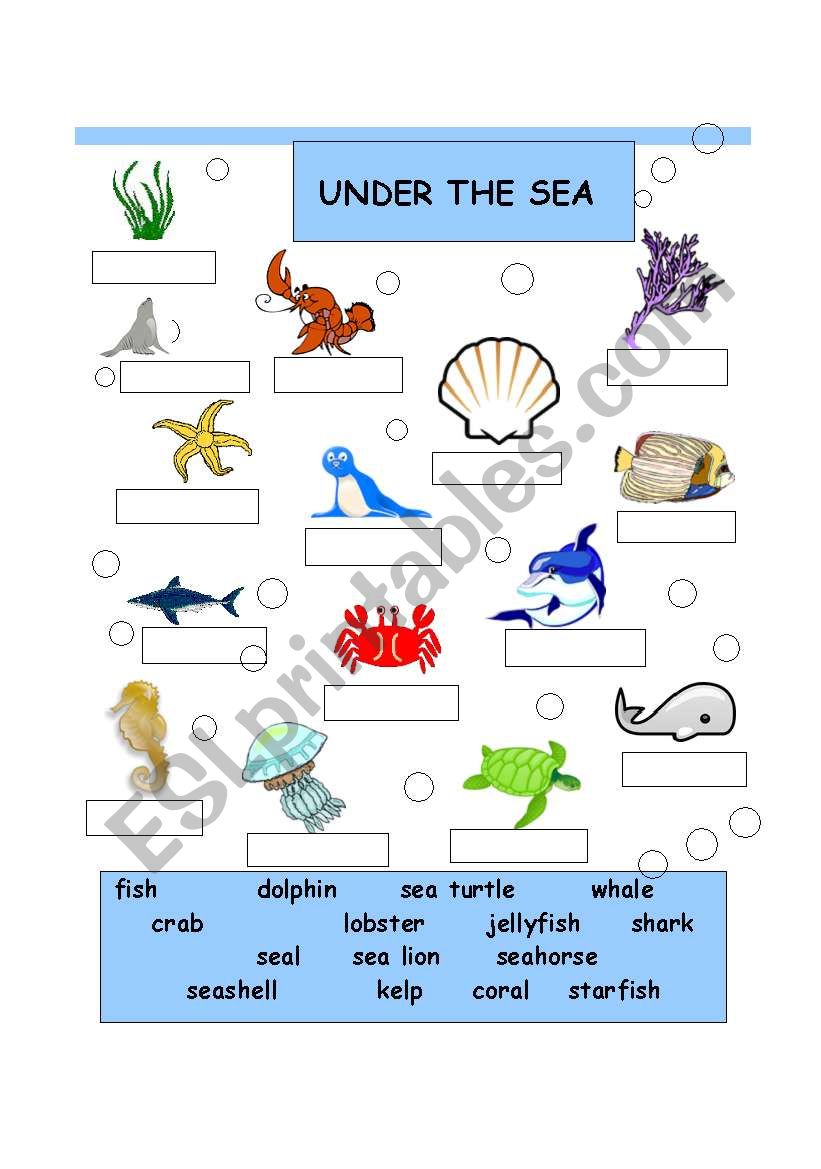 UNDER THE SEA worksheet