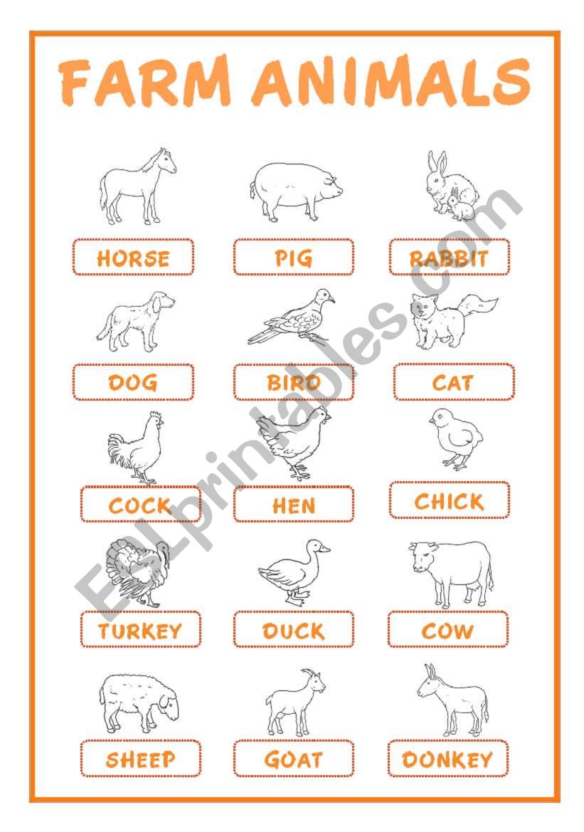 FARM & WOODLAND ANIMALS PICTIONARY (30 animals)