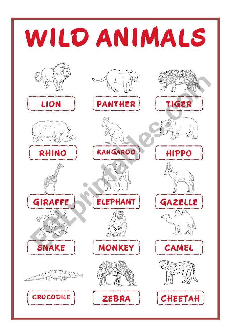 WILD & SEA ANIMALS PICTIONARY (30 animals)