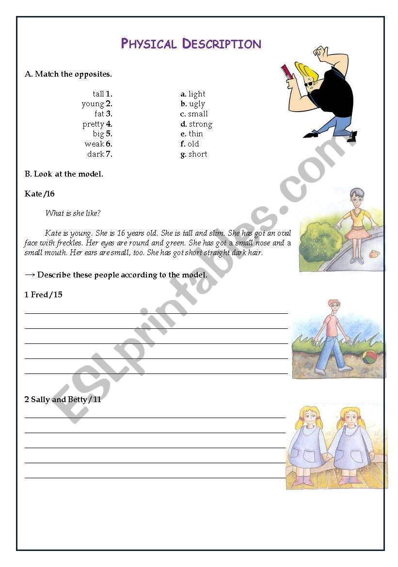 PHYSICAL DESCRIPTION worksheet