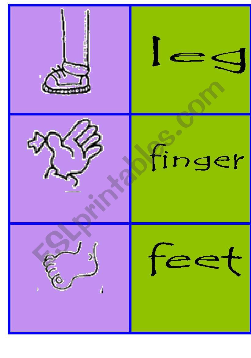 parts of the body cards 2/2 worksheet