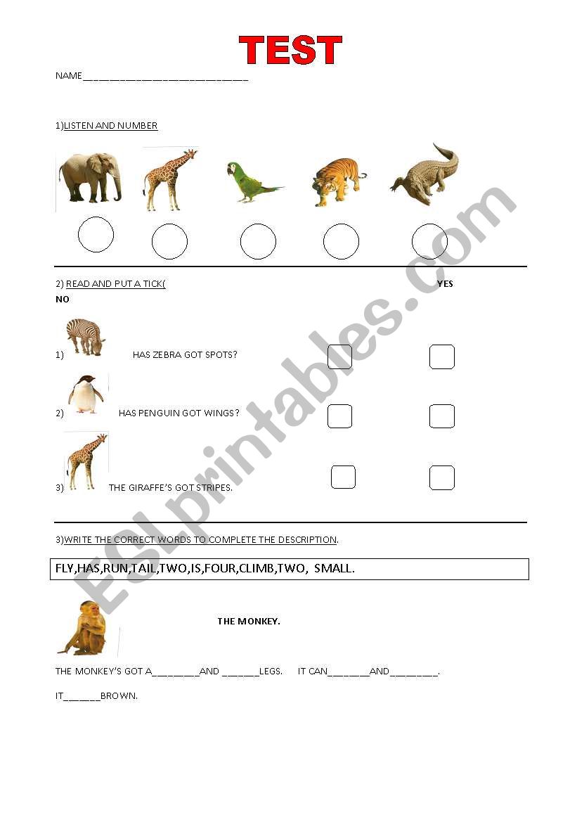 test on animals worksheet