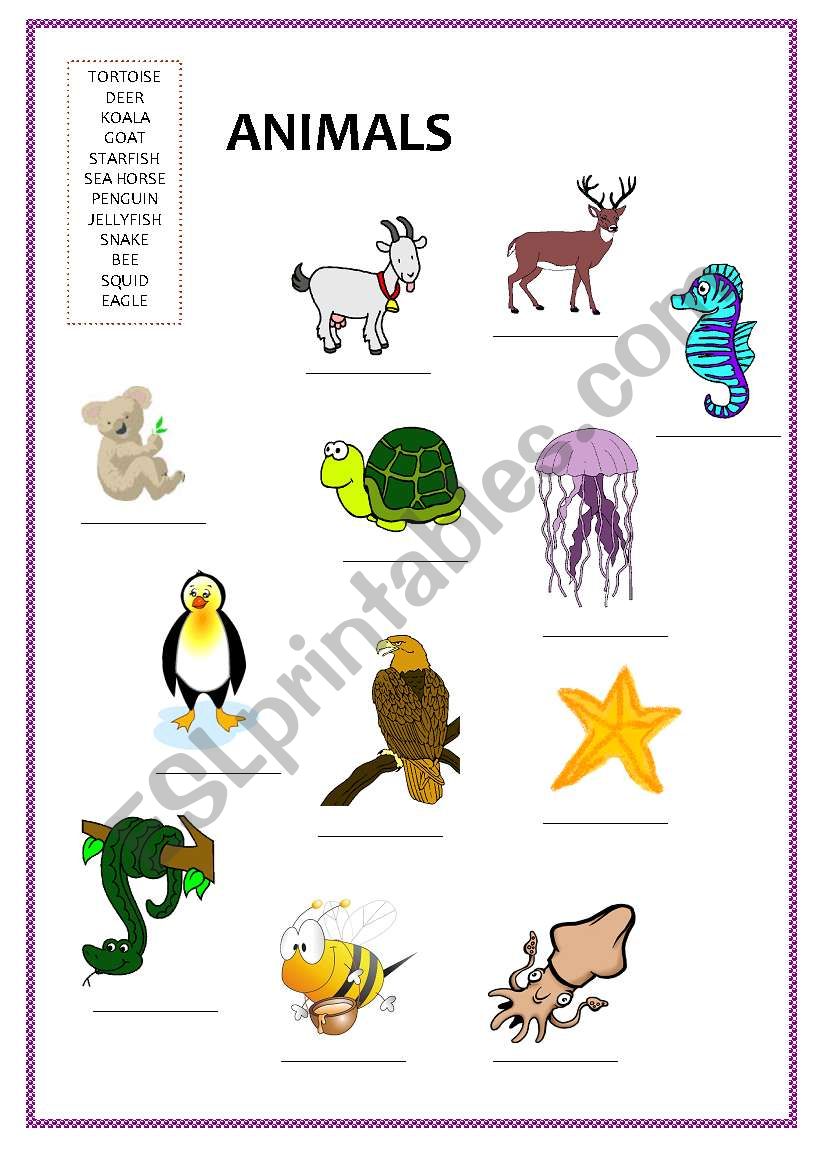 Animals 3 worksheet