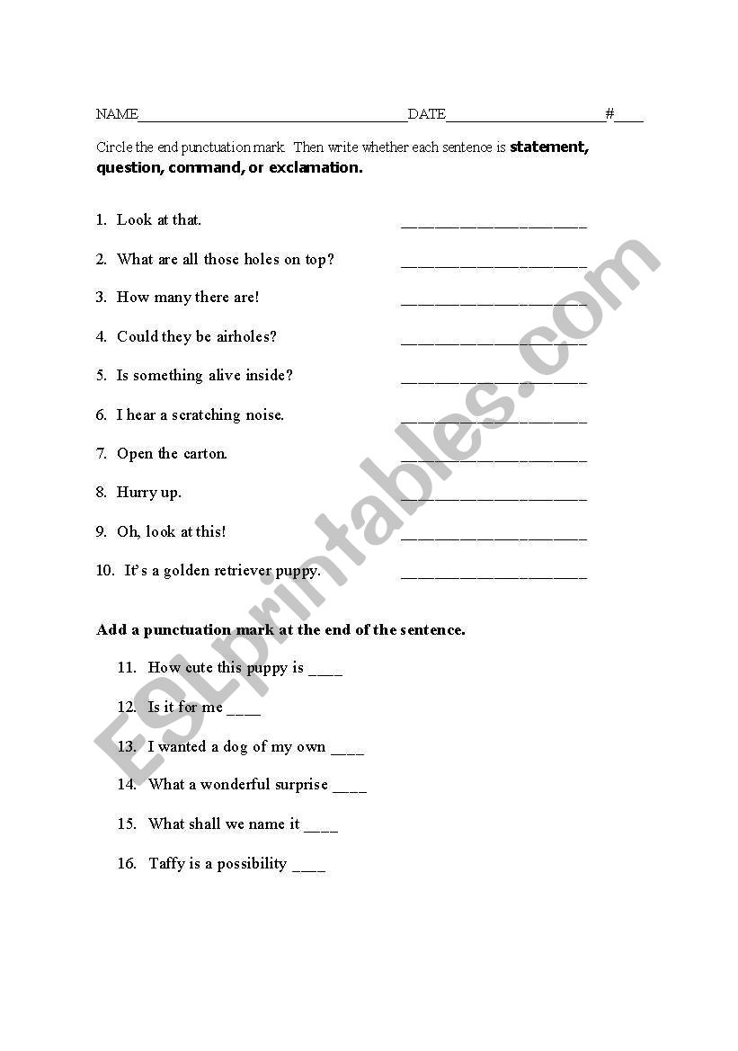 12-4-types-of-sentences-worksheet-5th-grade-grade-printable-sheets-types-of-sentences