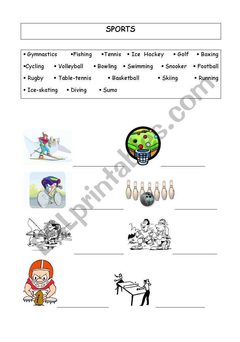 Sports  worksheet