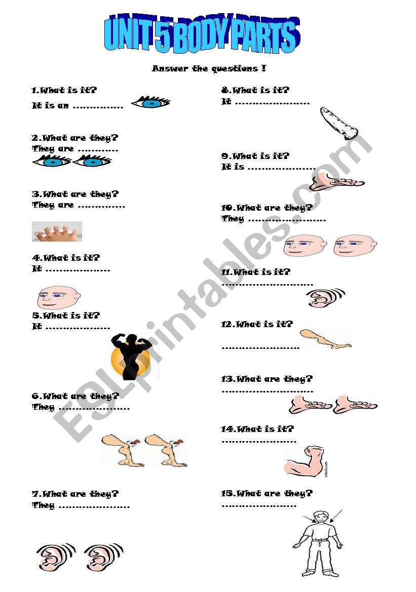 body pats worksheet