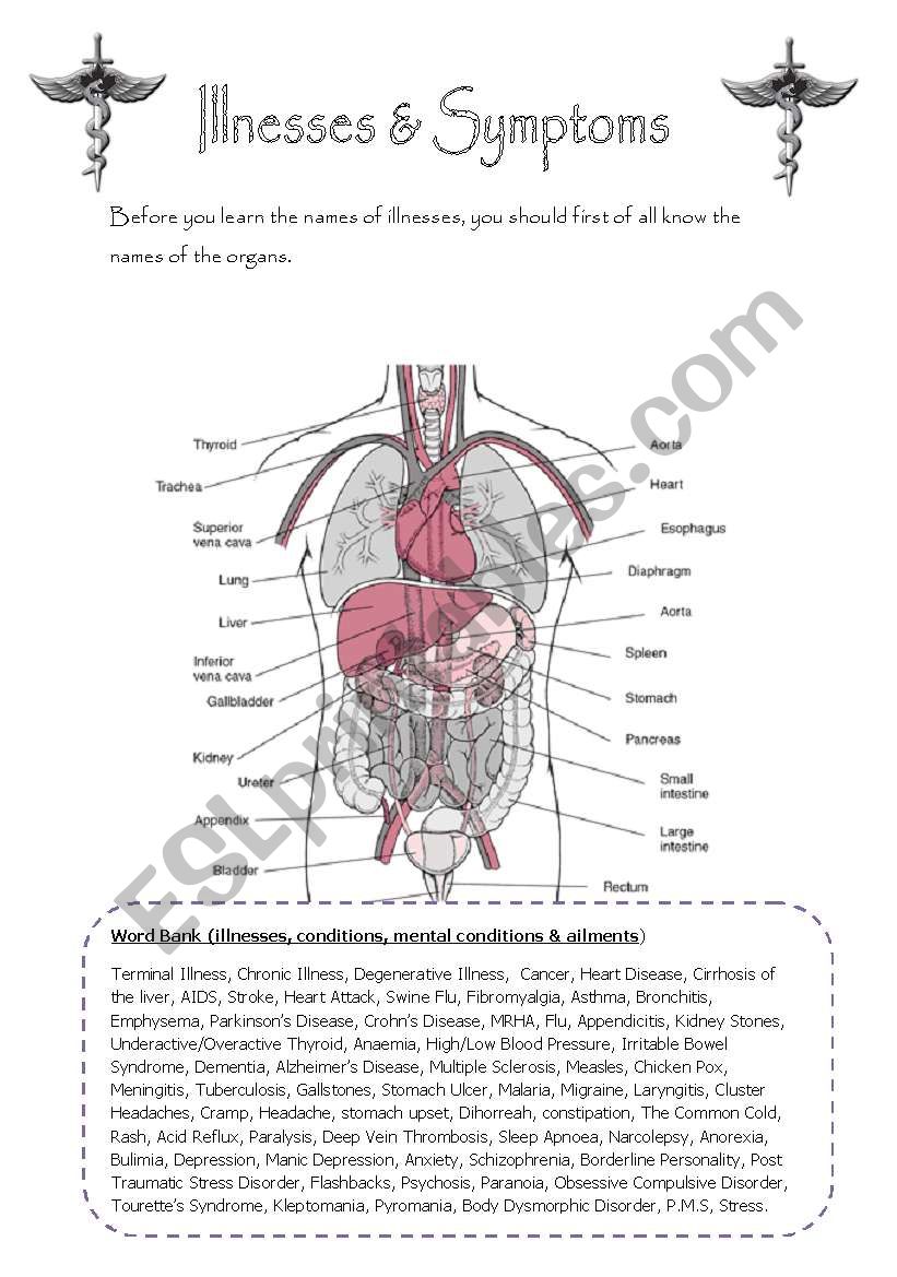 Illnesses and Symptoms worksheet