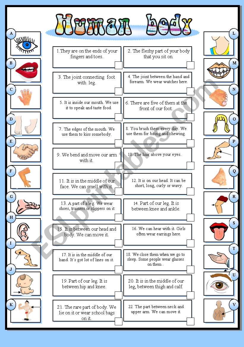 Human body (BW + the key) worksheet