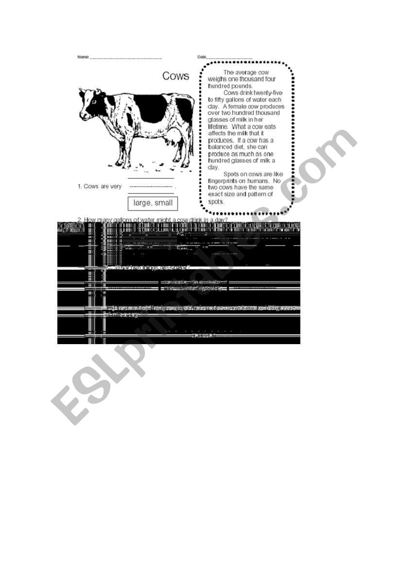 cow worksheet