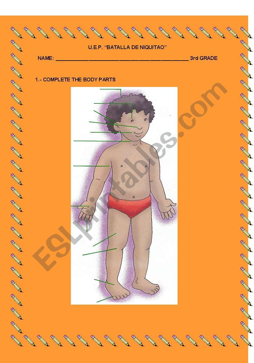 Body Parts worksheet