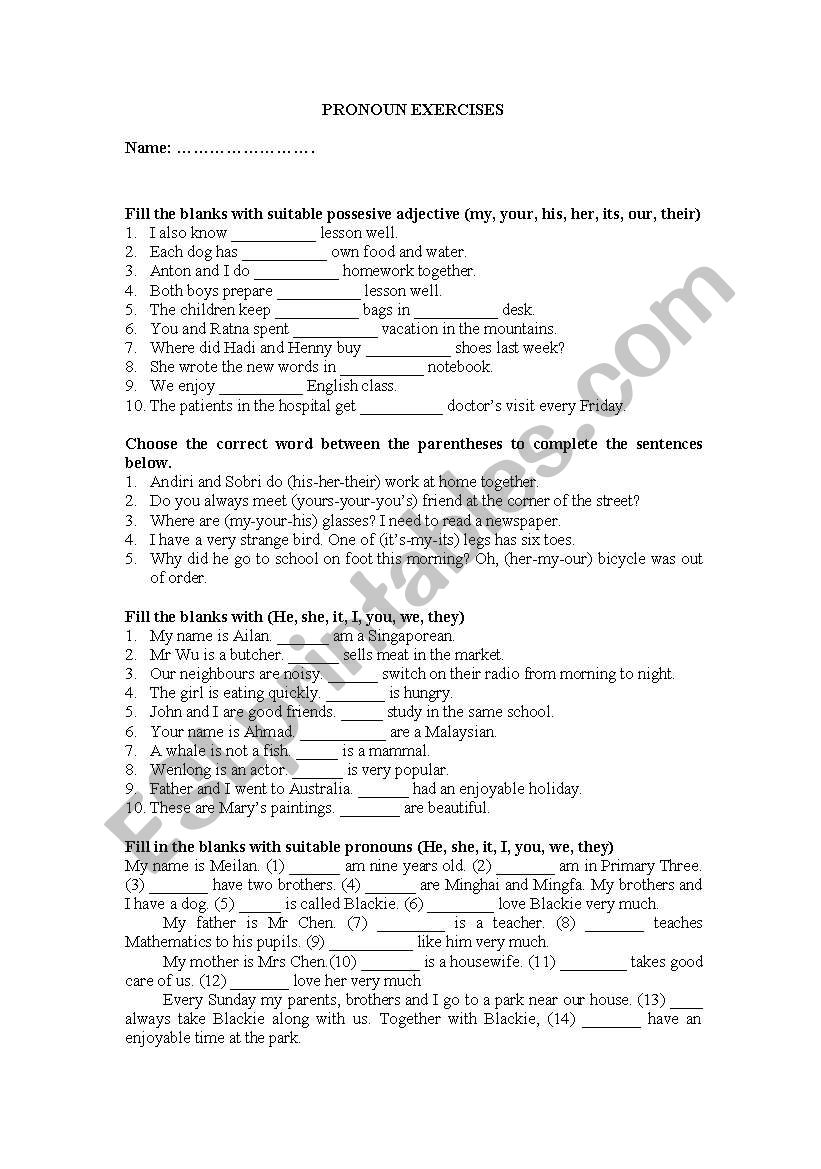 Pronoun Exercises worksheet