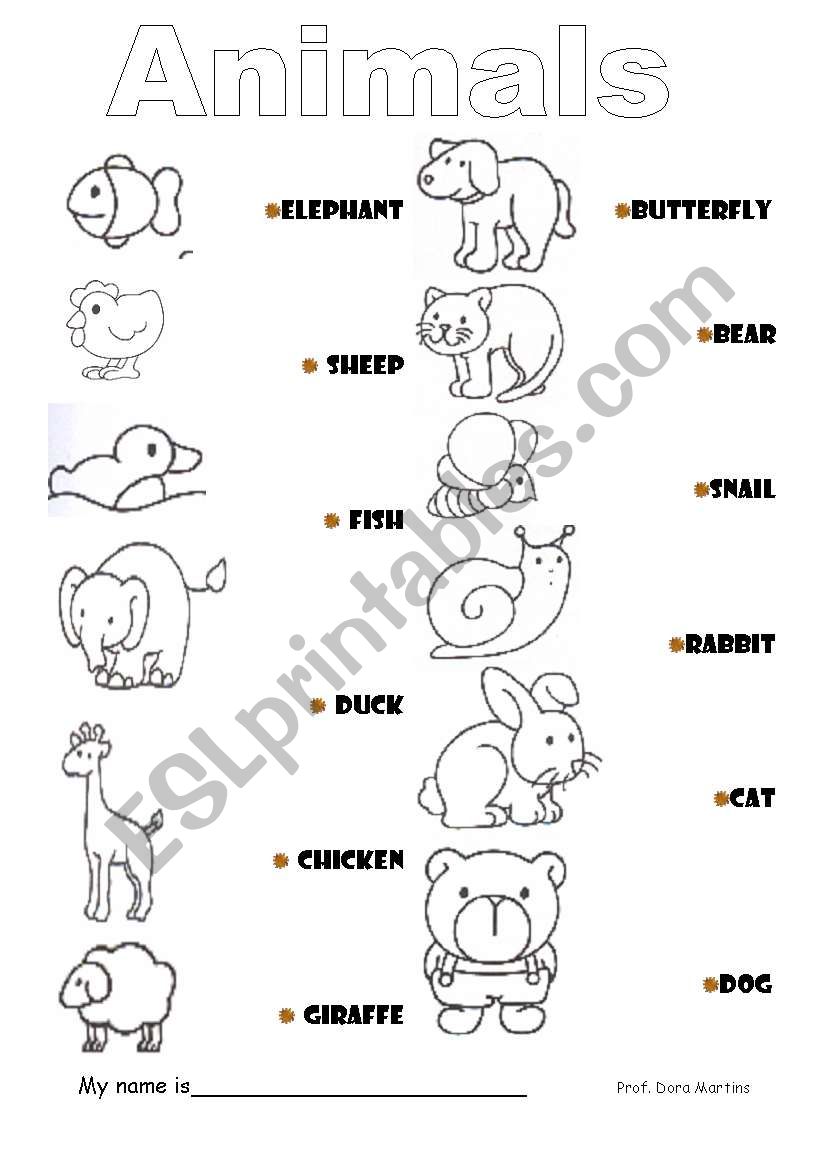 animals worksheet