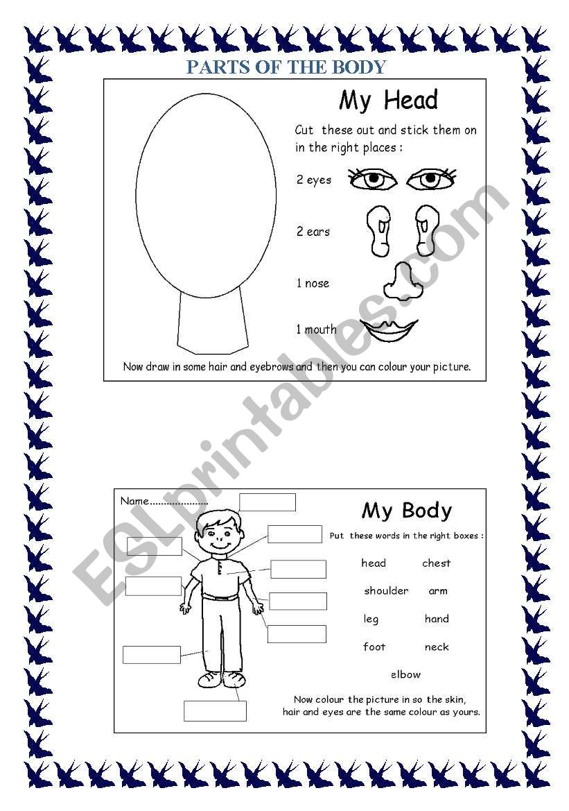 BODY worksheet