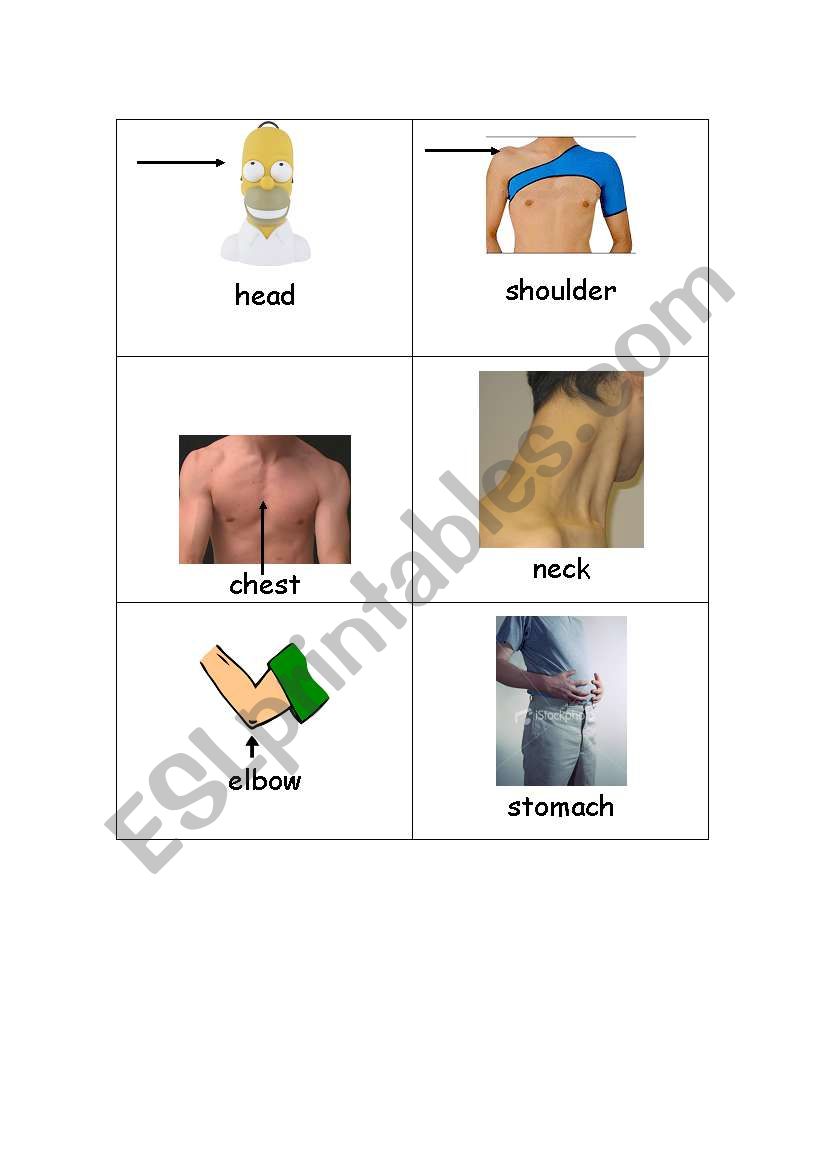 Body Parts Page 1 worksheet