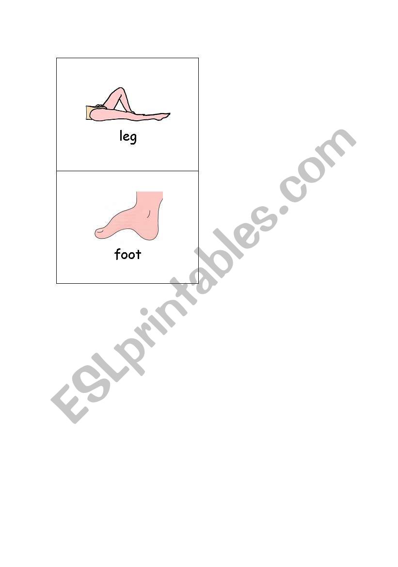 Body Parts Page 2 worksheet