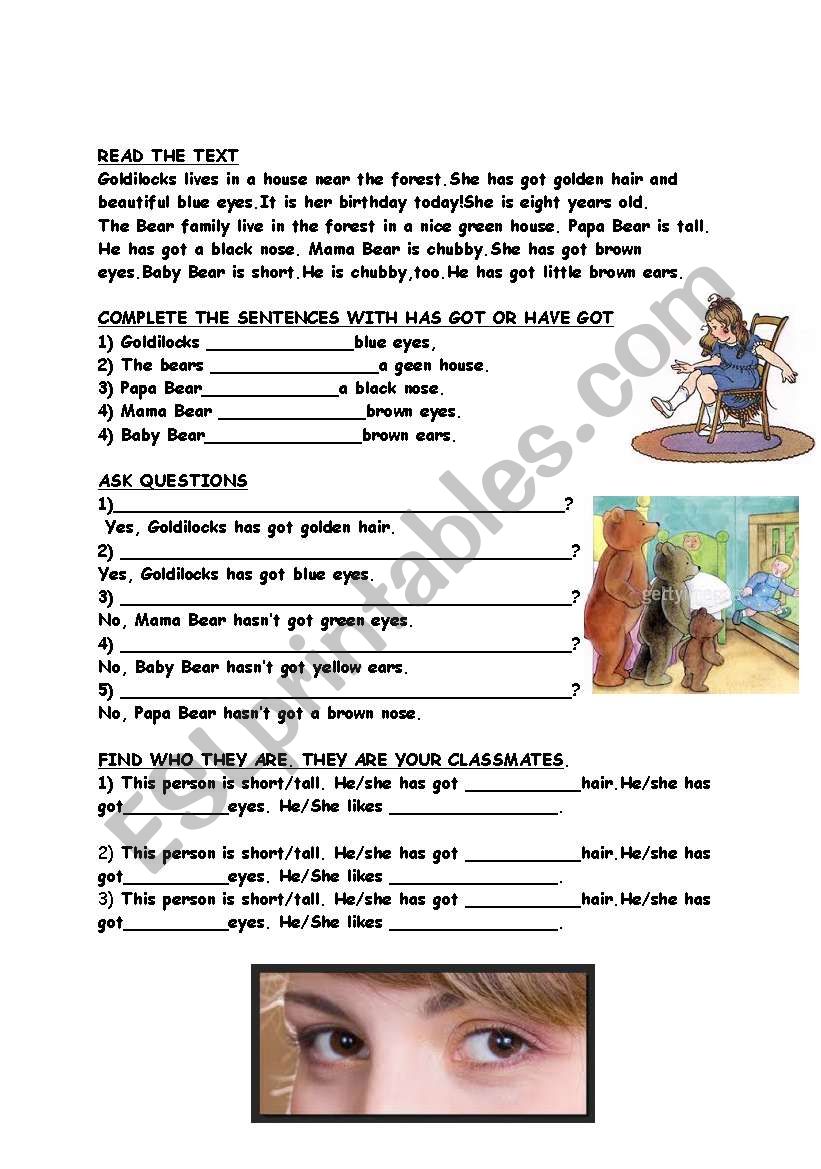 have got / has got exercises worksheet