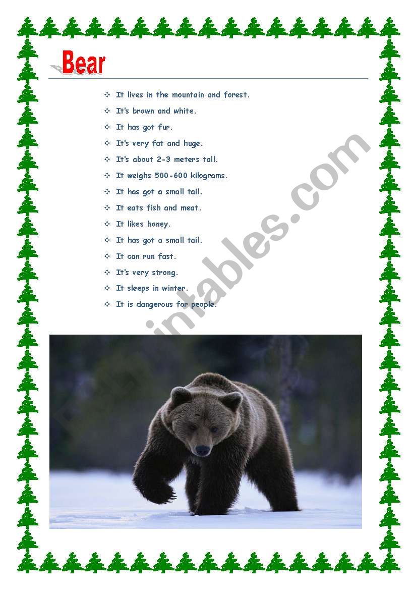 animals worksheet