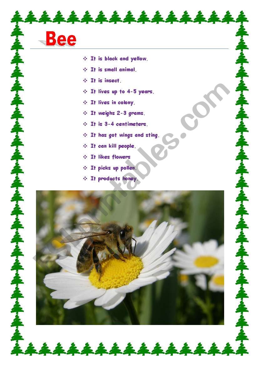 animals worksheet