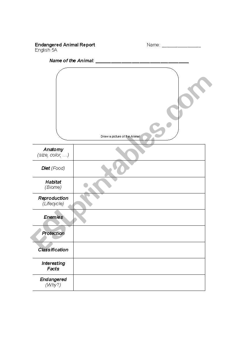 Endangered Animal Report worksheet