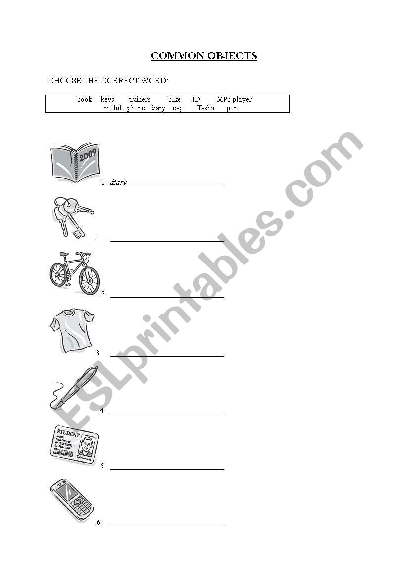 Common objects worksheet